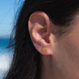 Sand Dollar Studs