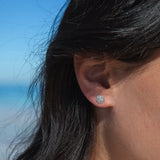 Sand Dollar Studs