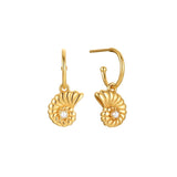 Nautilus Isle Earrings