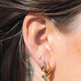 Cari Conch Studs