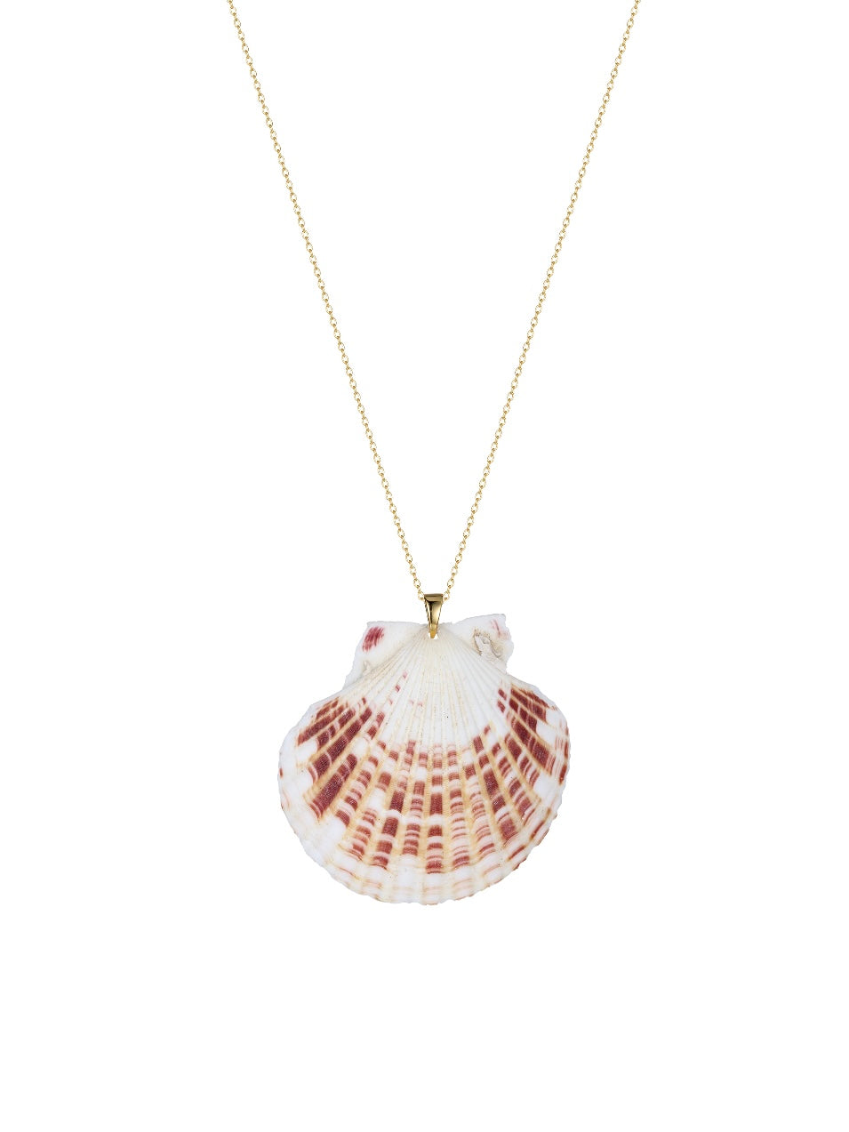 Shell Shores Necklace