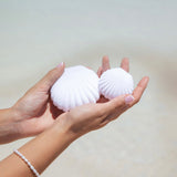 Sand Dollar Studs in 18k Gold Vermeil