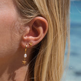 Seastar Studs in 18k Gold Vermeil