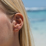 Seastar Studs in 18k Gold Vermeil