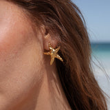 Solea Earrings in 18k Gold