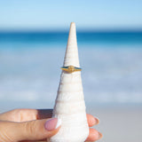 Sand Dollar Ring